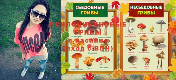 стаф Наволоки