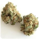 Шишки "White Widow"  (Белая вдова)  Гидропоника -  Бошка VHQ в Шлиссельбурге